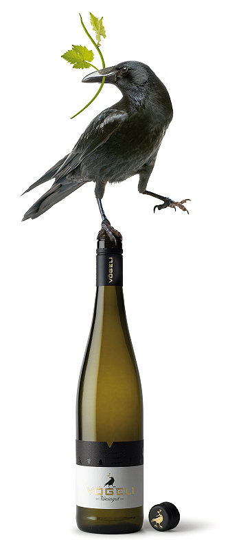 Collage Weingut Vögeli mit Rabe